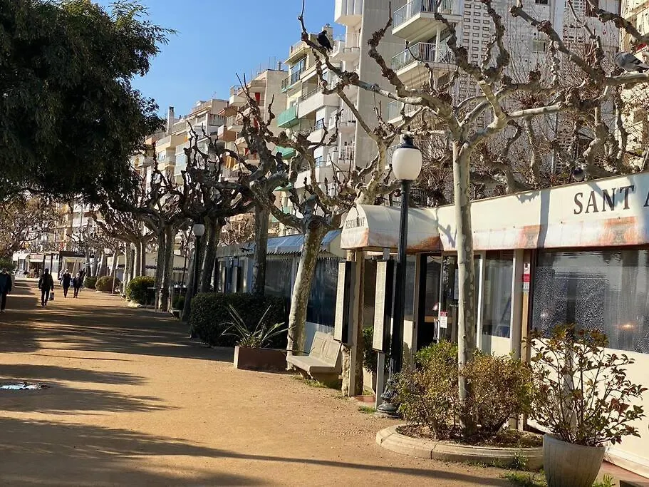 דירות בלאנס Apartamento Bohemio